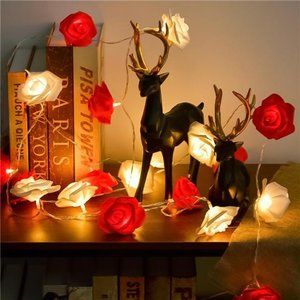 Valentines Day Decor - 10ft Red and White Rose Lights, 20 LED Battery Operated